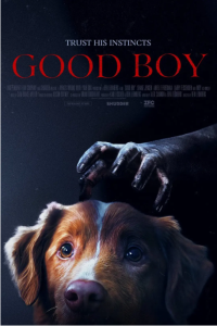 好狗狗 Good Boy (2025)网盘在线观看