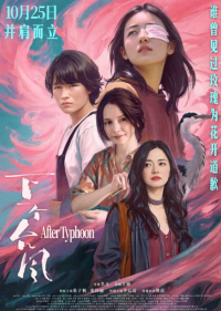 下一个台风 (2025)网盘在线观看